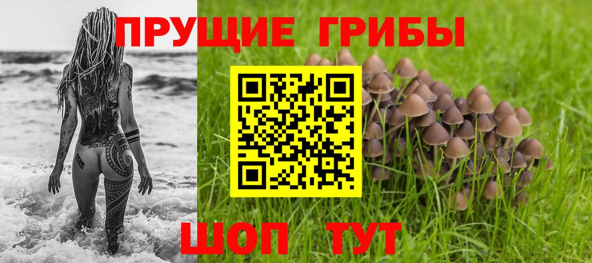 Псилоцибиновые грибы GOLDEN TEACHER  Псилоцибиновые грибы Psilocybine cubensis  Вход с VPN  Городец 