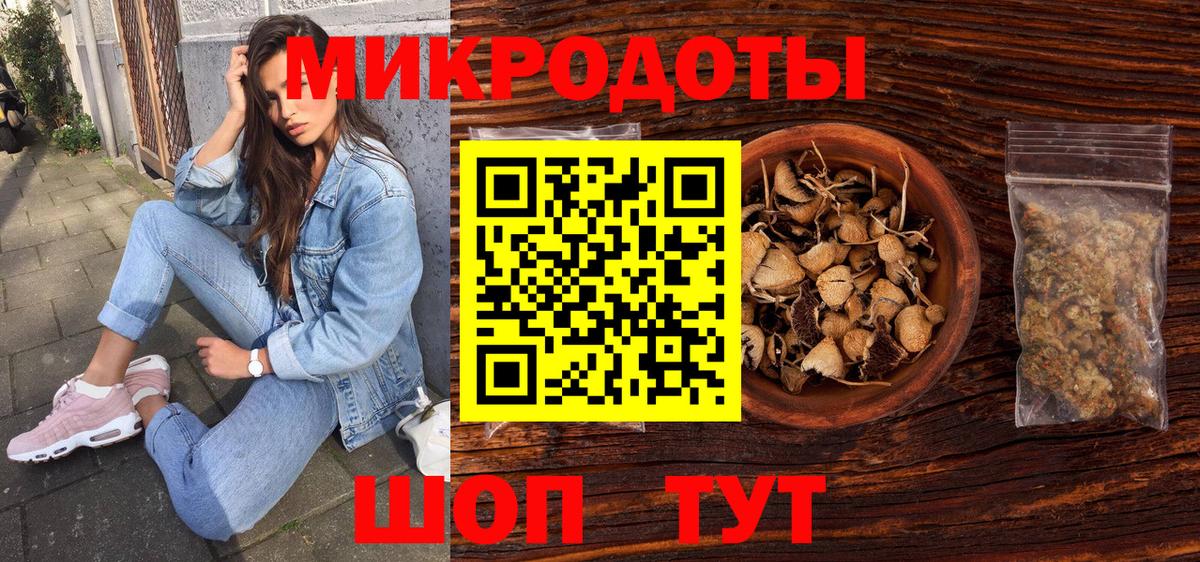 Псилоцибиновые грибы Psilocybe Городец